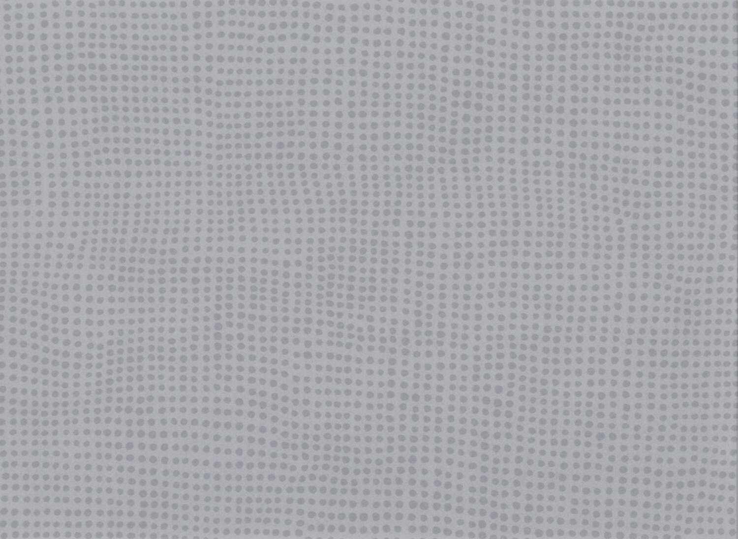 0824 DIVERSION SOURIS