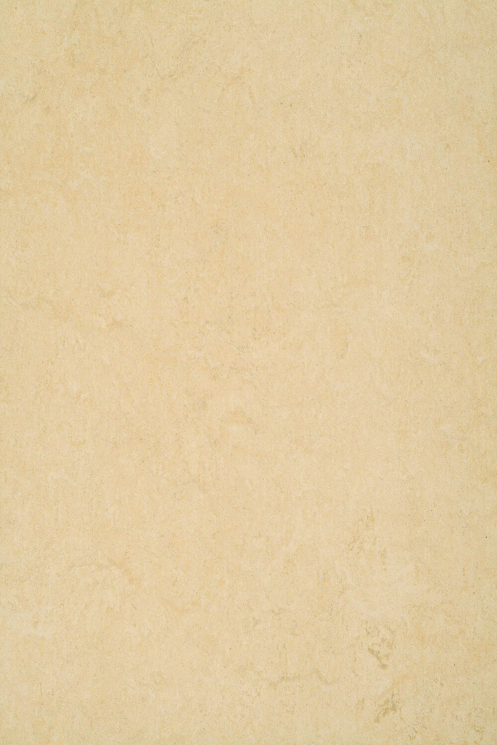0098 DESERT BEIGE